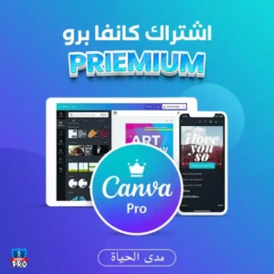 canva pro edu