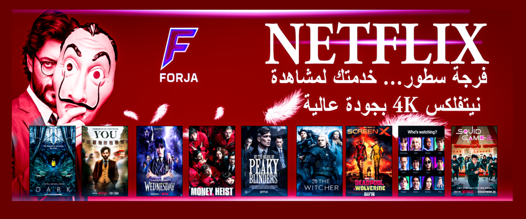 cheap netflix